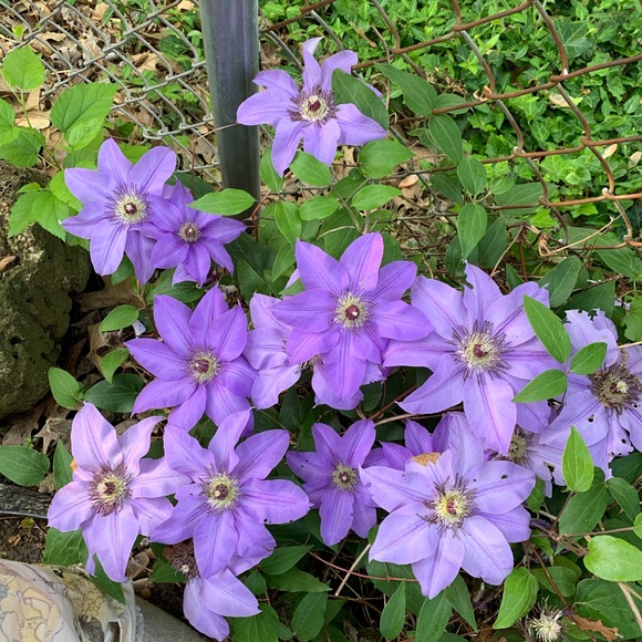 Closet QR Code - Picture 5 of 15